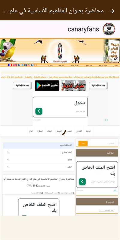 صورة