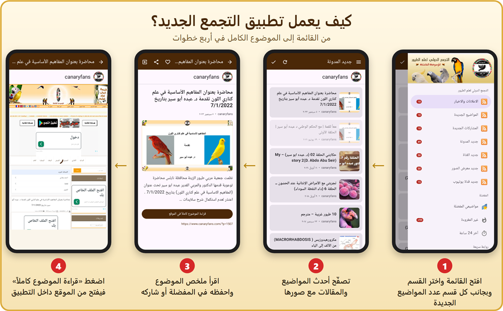 صورة