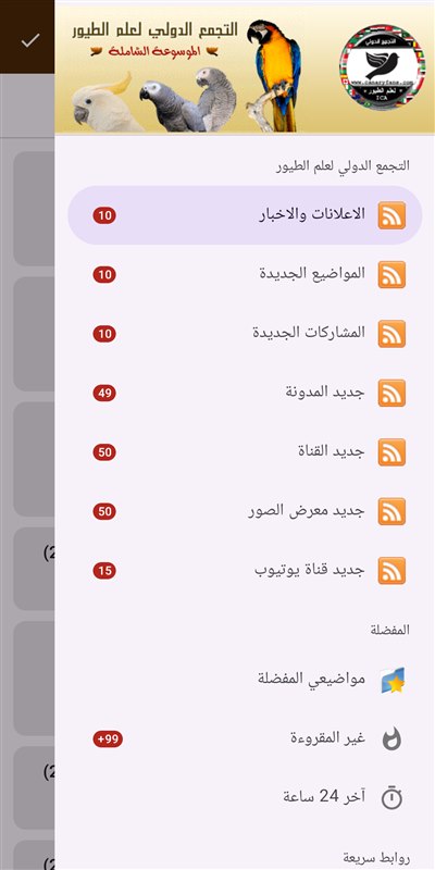 صورة
