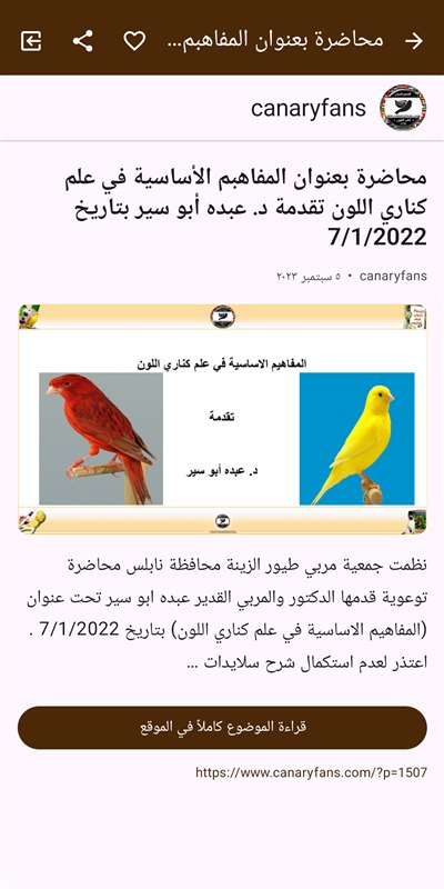 صورة