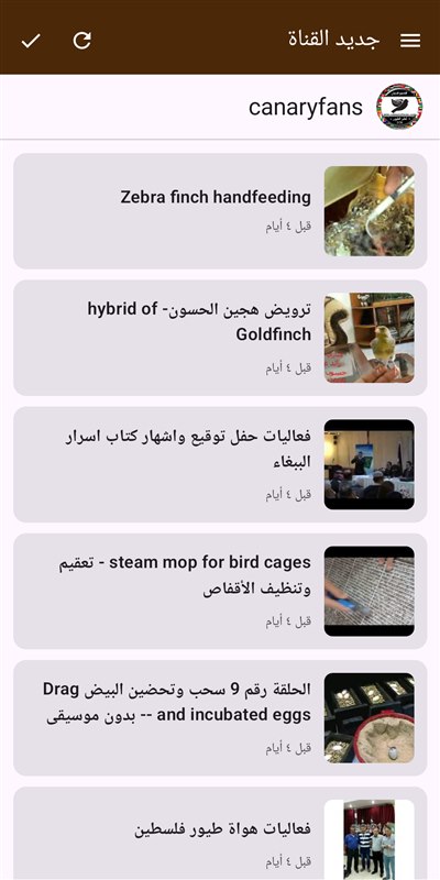 صورة