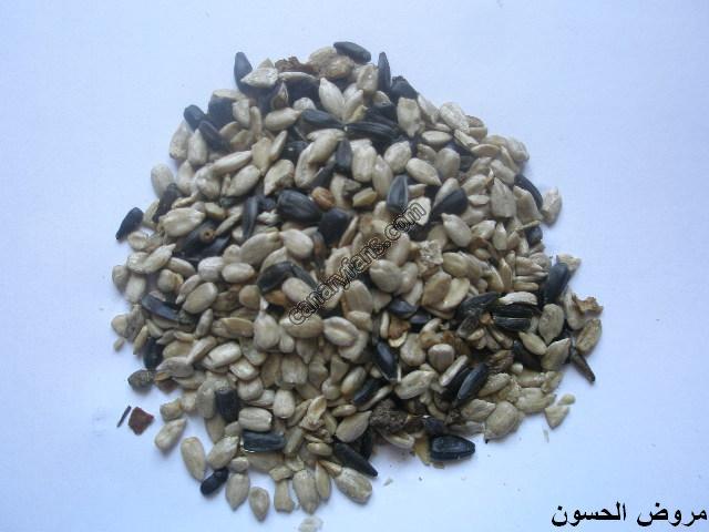 صورة