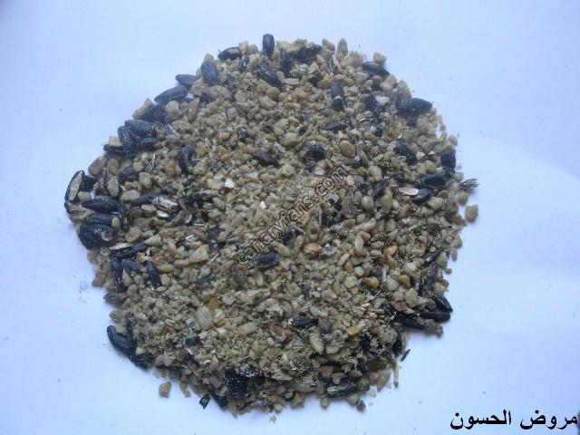 صورة