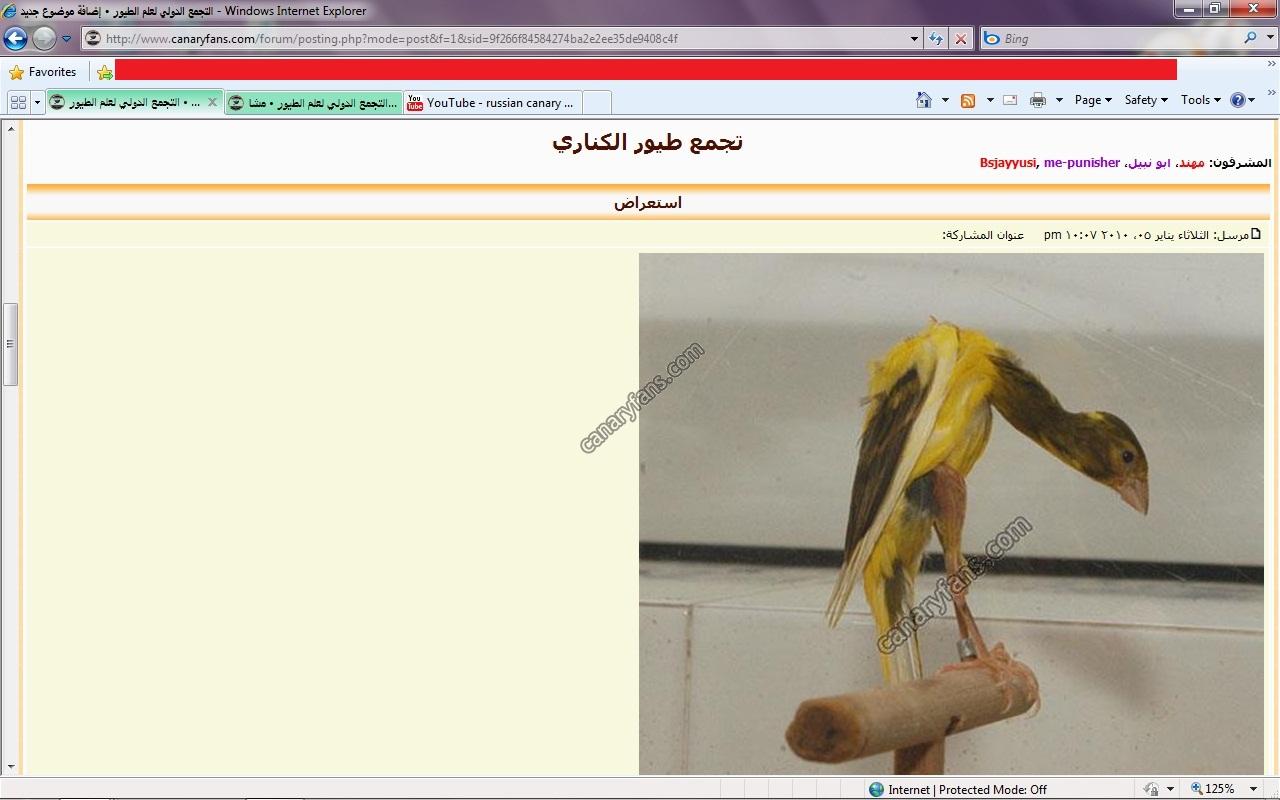 صورة