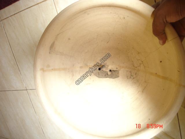 صورة