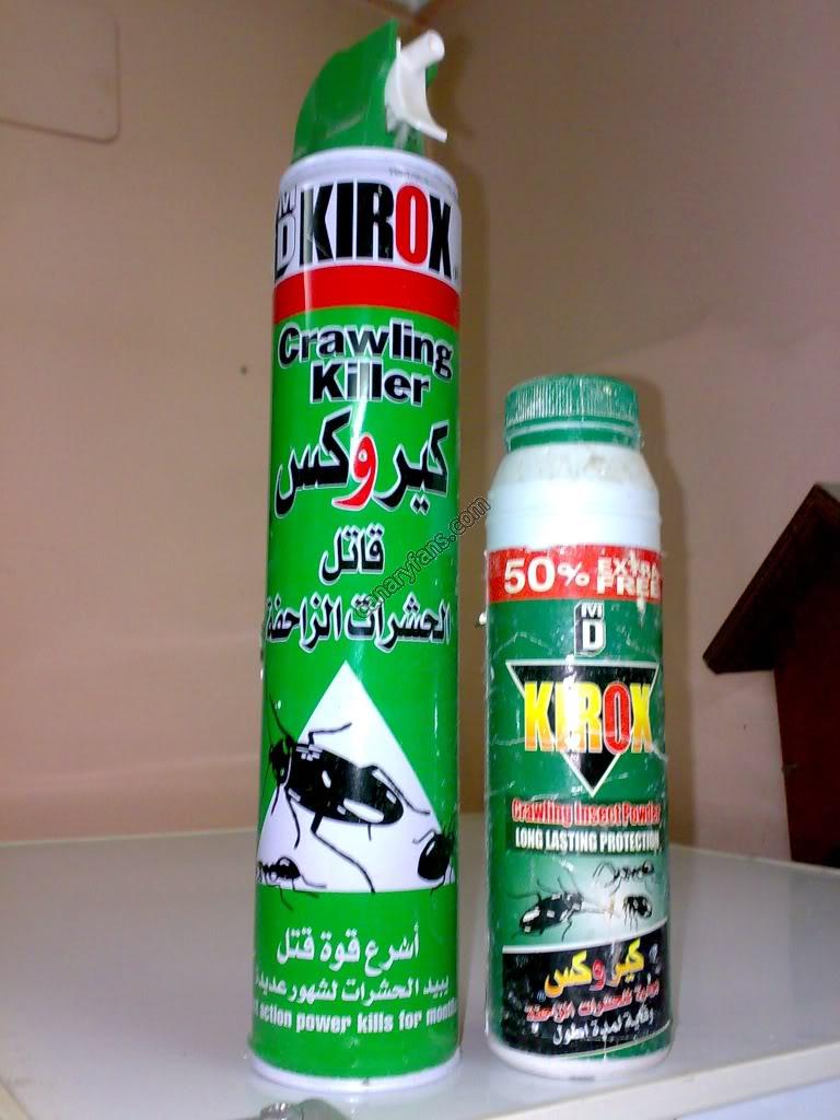 صورة