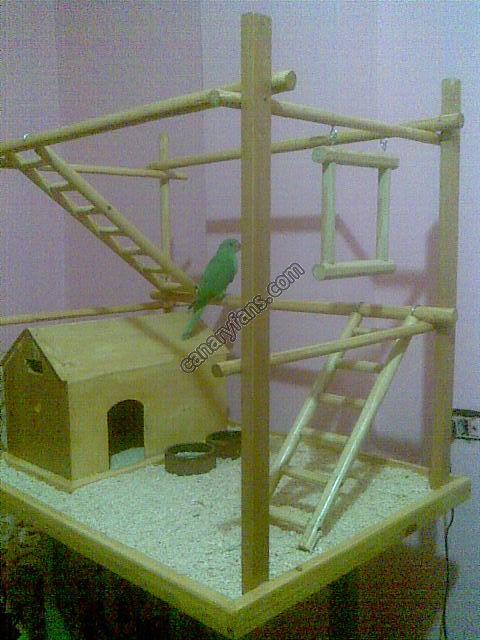 صورة