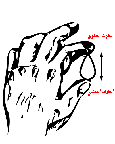 صورة