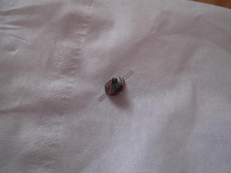 صورة