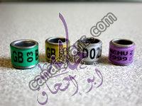 صورة