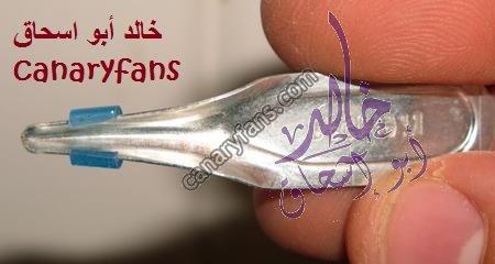 صورة