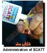 صورة