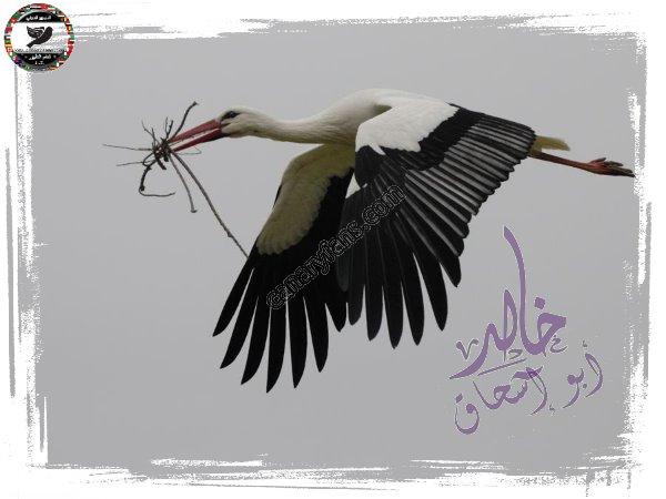 صورة