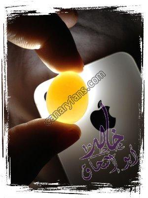 صورة