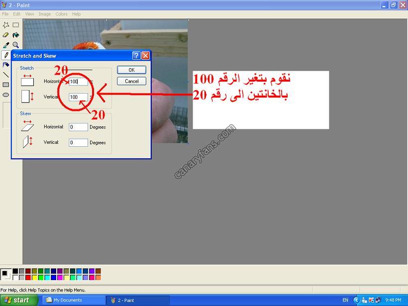 صورة