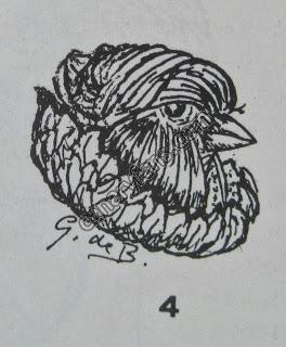 صورة