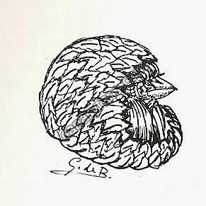 صورة
