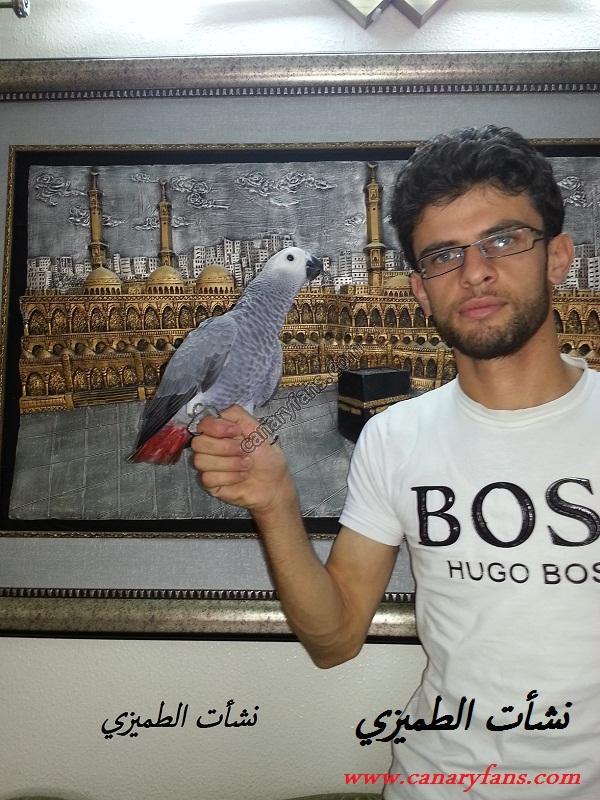 صورة