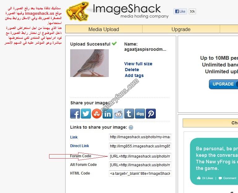 صورة