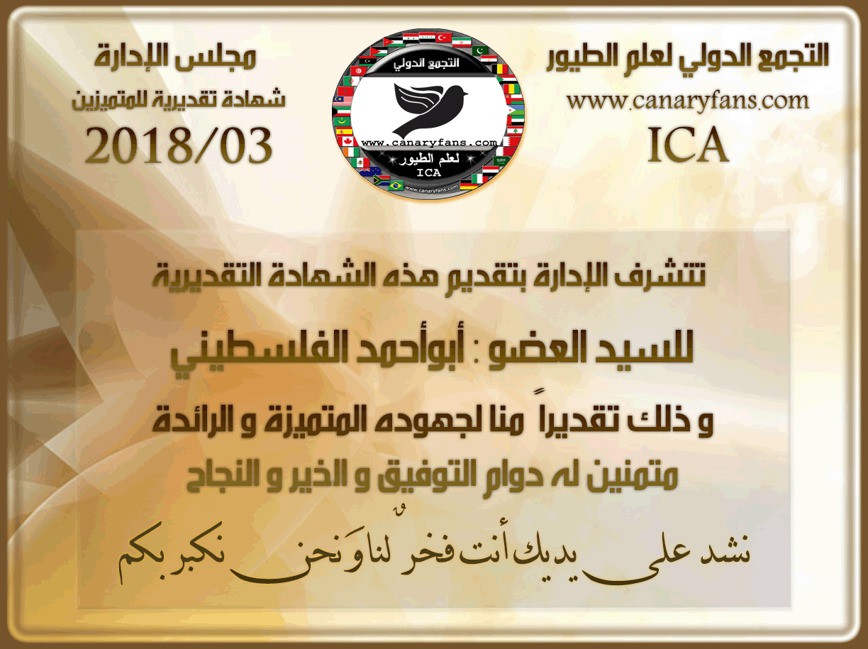 صورة
