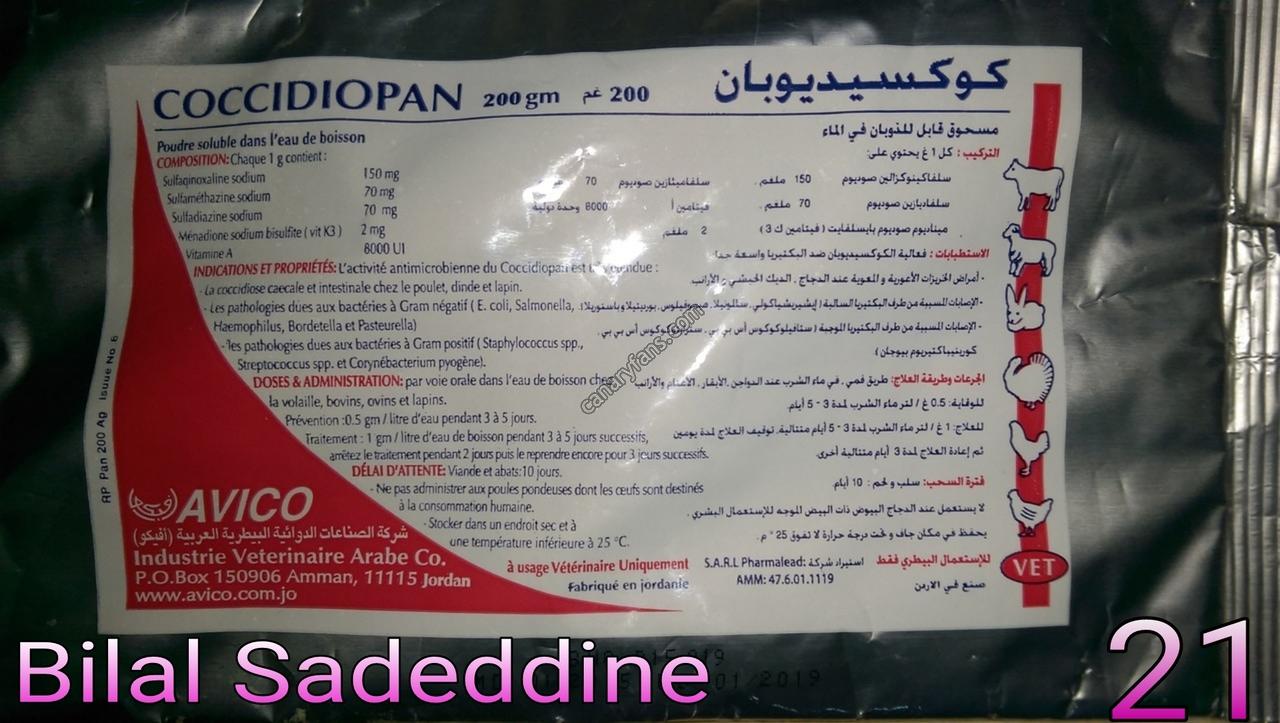 صورة