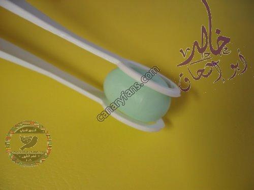 صورة