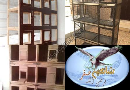 صورة