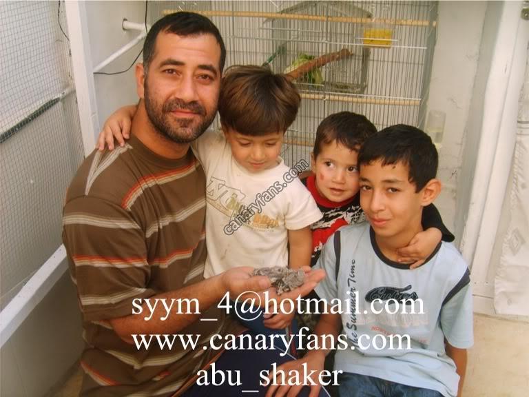 صورة