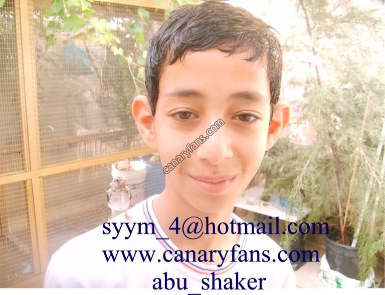 صورة