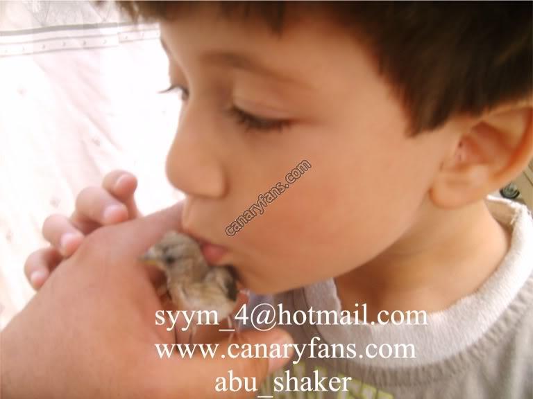 صورة