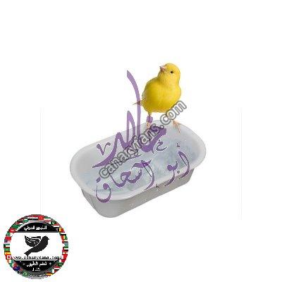 صورة