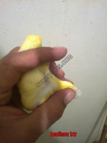 صورة