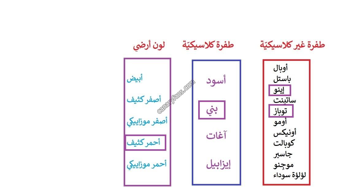 صورة