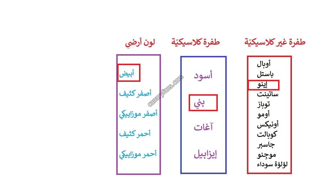 صورة