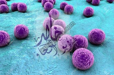 صورة