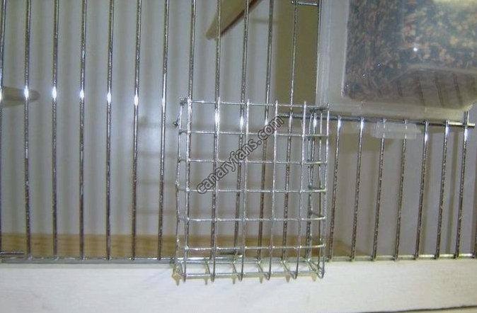 صورة
