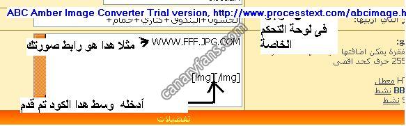 صورة