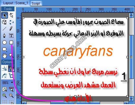 صورة