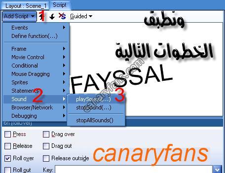صورة