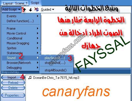 صورة