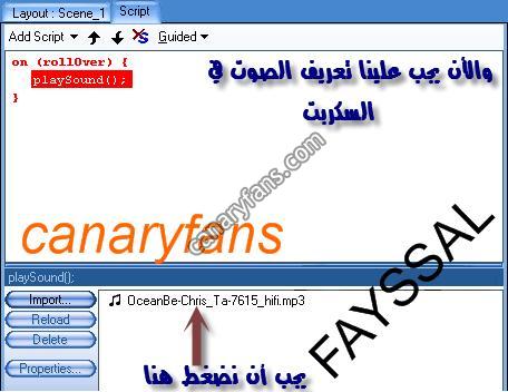 صورة