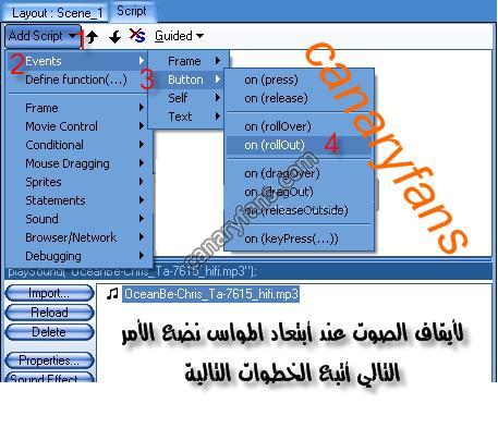 صورة