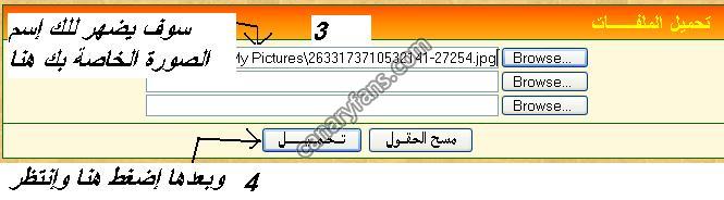 صورة