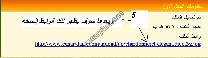 صورة