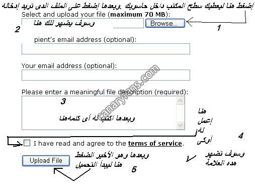 صورة