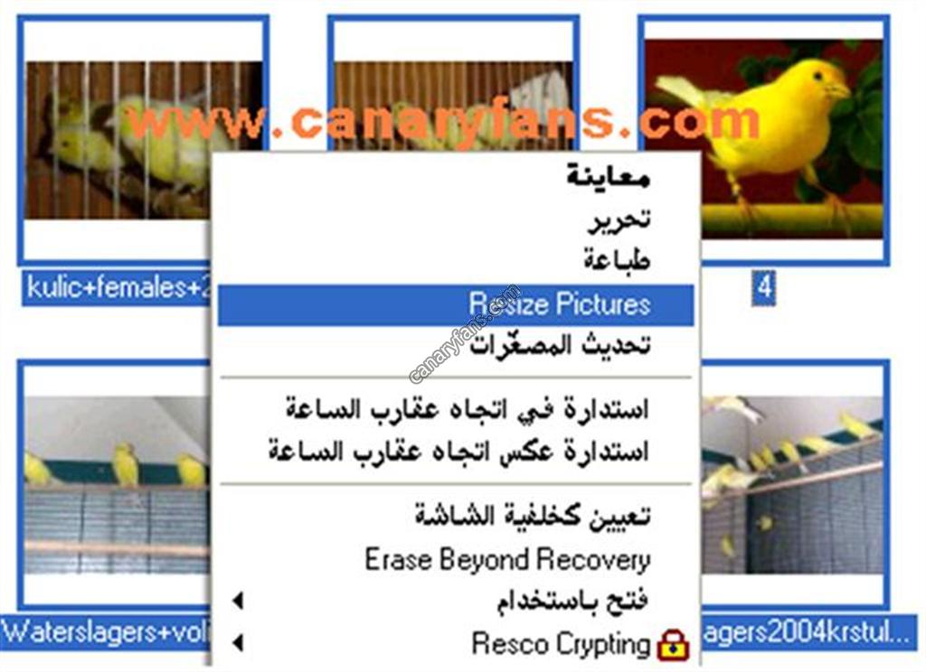 صورة